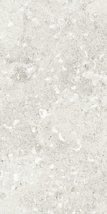 Sea Luster Bianca Matte 12 x 24